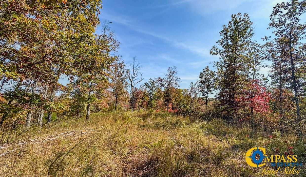 Cave Branch Tennessee Land for Sale-18