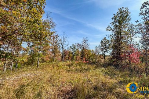 Cave Branch Tennessee Land for Sale-18