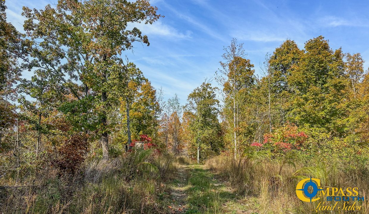 Cave Branch Tennessee Land for Sale-19