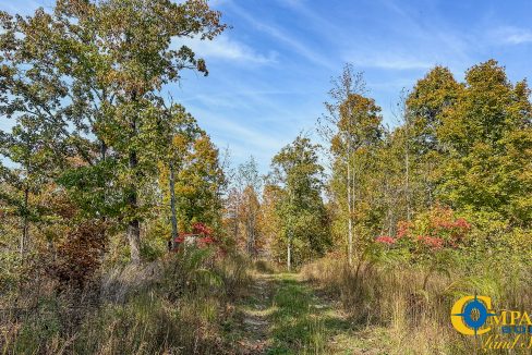 Cave Branch Tennessee Land for Sale-19