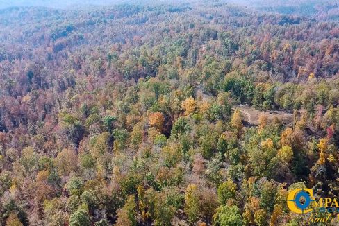 Cave Branch Tennessee Land for Sale-23