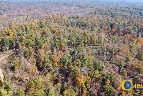 Cave Branch Tennessee Land for Sale-26