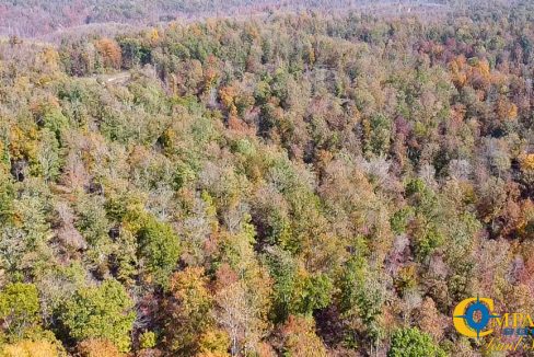 Cave Branch Tennessee Land for Sale-30