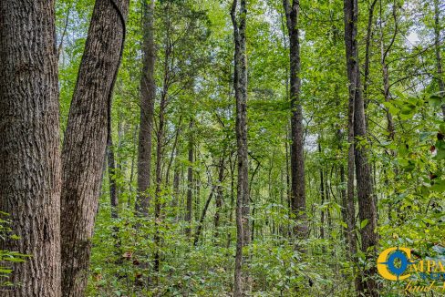 Dry Branch Tennessee-27