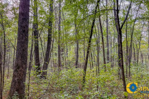 Dry Branch Tennessee-31