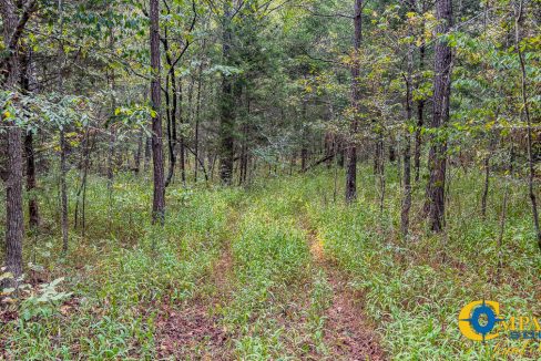 Dry Branch Tennessee-35