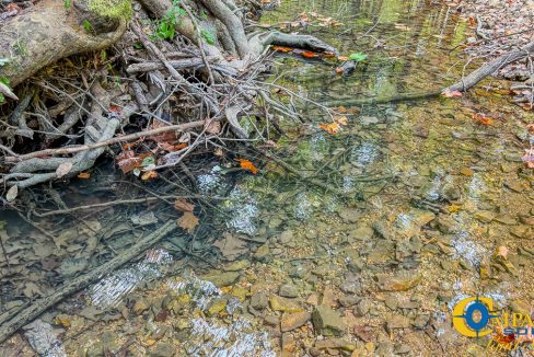 Dry Branch Tennessee-37