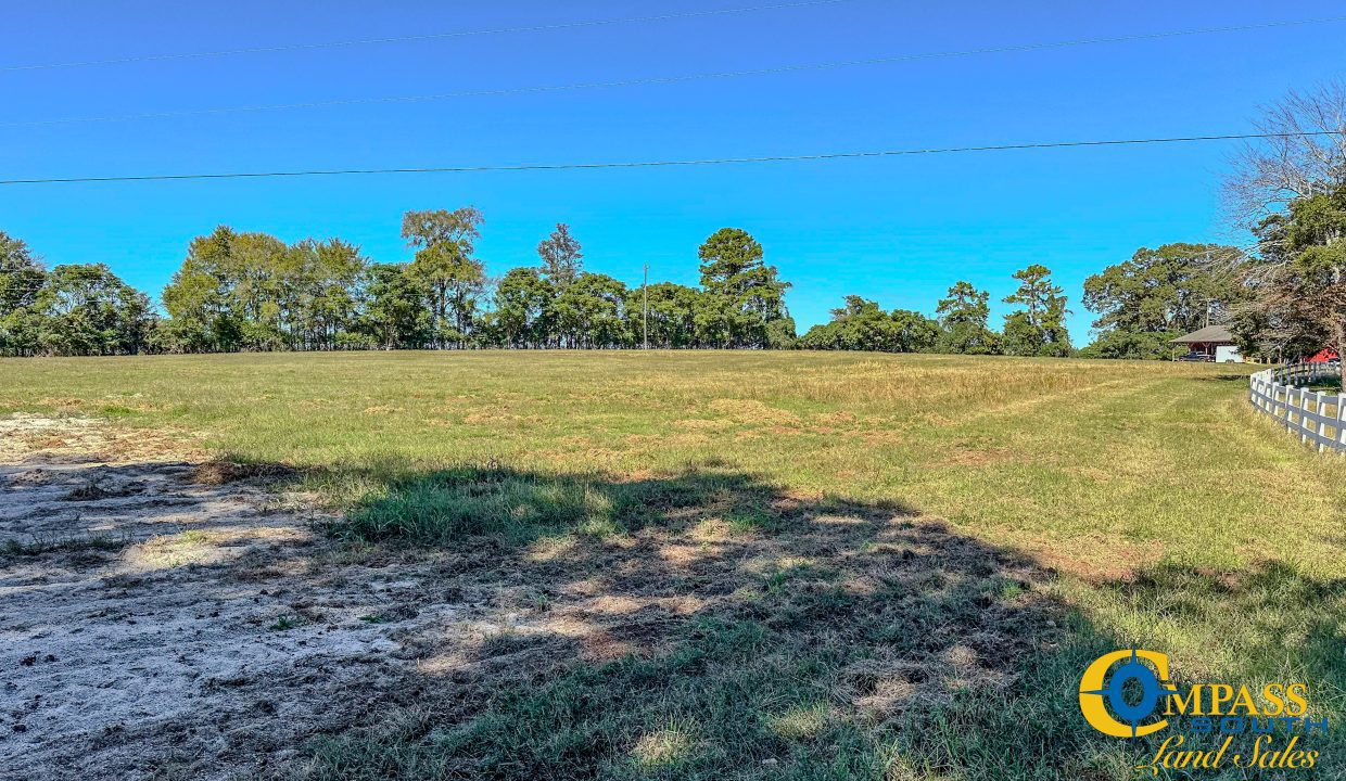 New Pheonix Farm Georgia Land for Sale-08