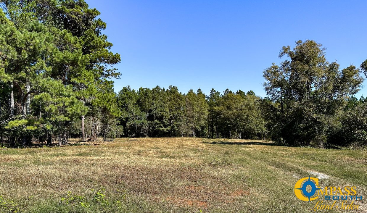 New Pheonix Farm Georgia Land for Sale-09