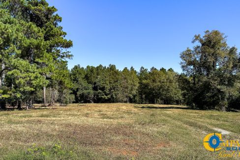 New Pheonix Farm Georgia Land for Sale-09