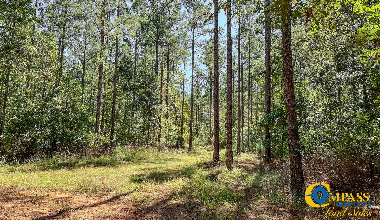 New Pheonix Farm Georgia Land for Sale-12