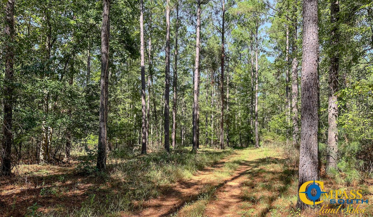 New Pheonix Farm Georgia Land for Sale-13