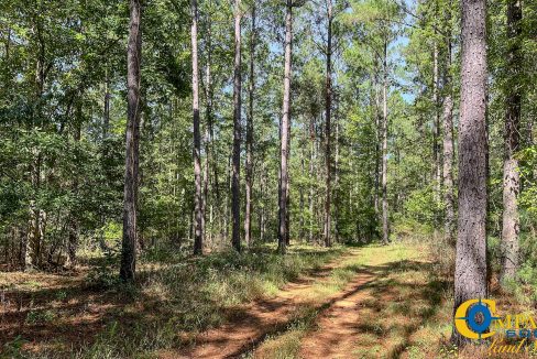 New Pheonix Farm Georgia Land for Sale-13