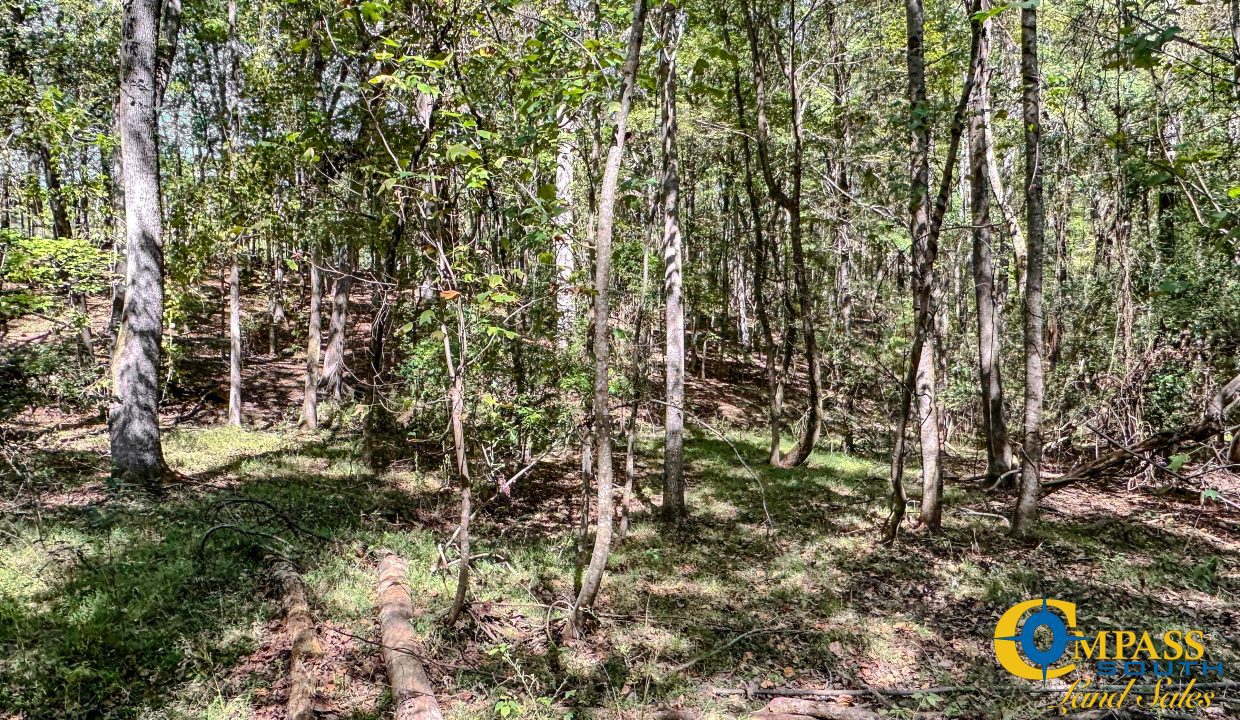 New Pheonix Farm Georgia Land for Sale-15