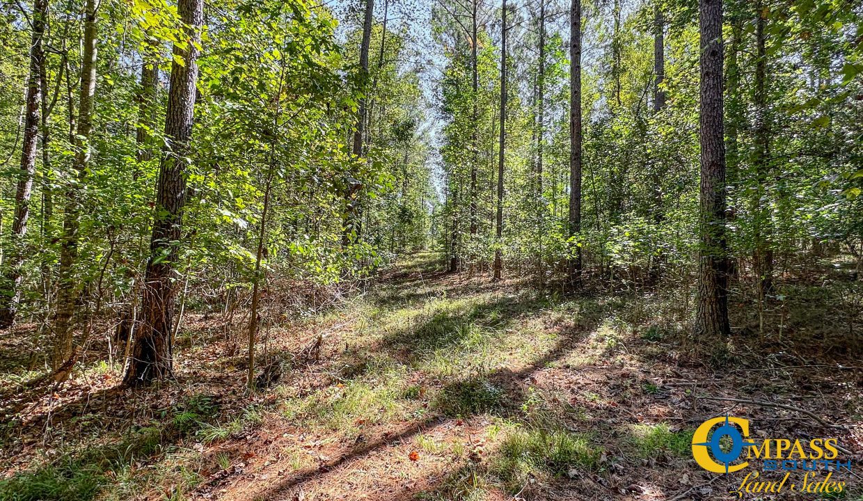 New Pheonix Farm Georgia Land for Sale-16