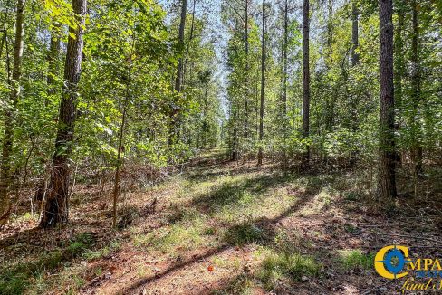 New Pheonix Farm Georgia Land for Sale-16