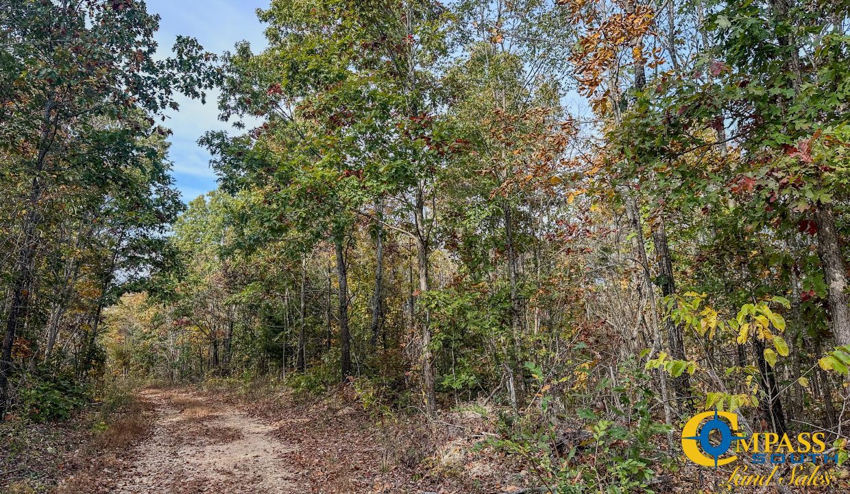 Pleasantville Southeast Tennessee Land for Sale-04