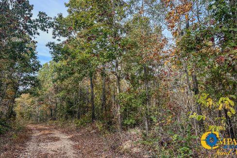 Pleasantville Southeast Tennessee Land for Sale-04