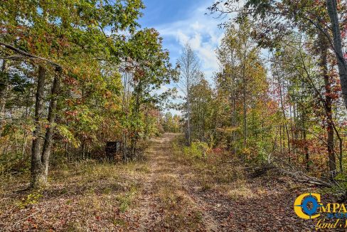 Pleasantville Southeast Tennessee Land for Sale-05