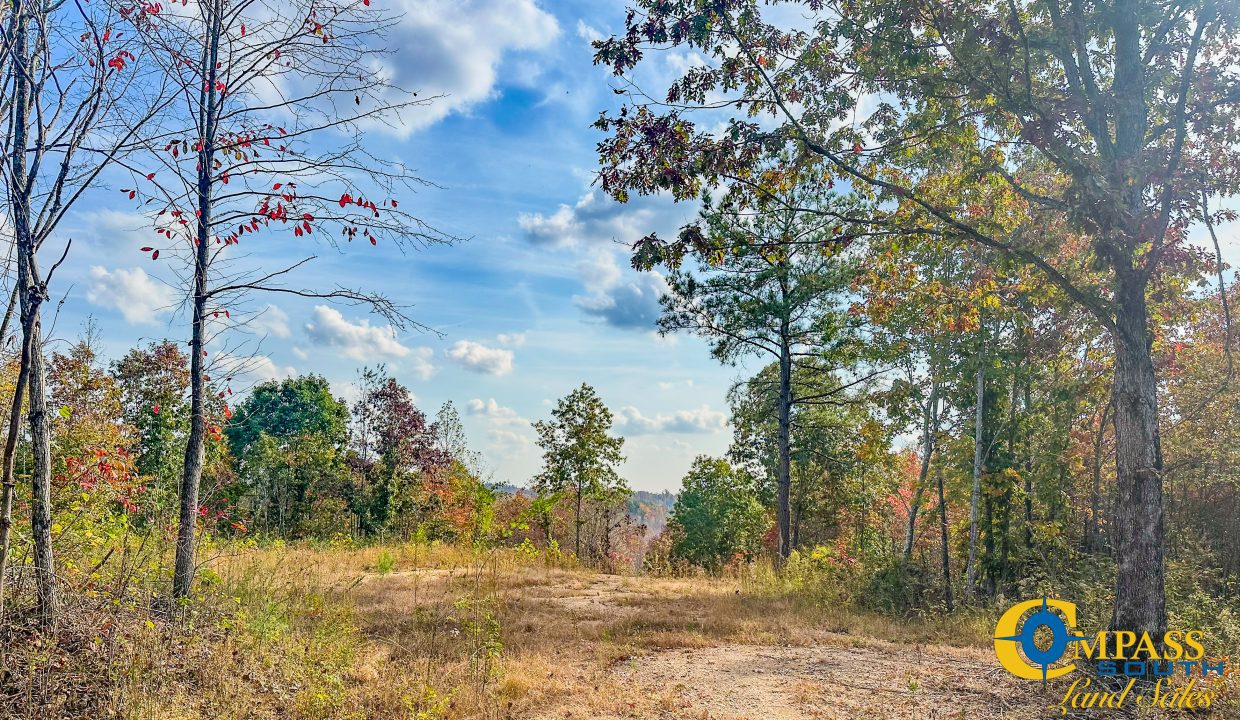 Pleasantville Southeast Tennessee Land for Sale-07