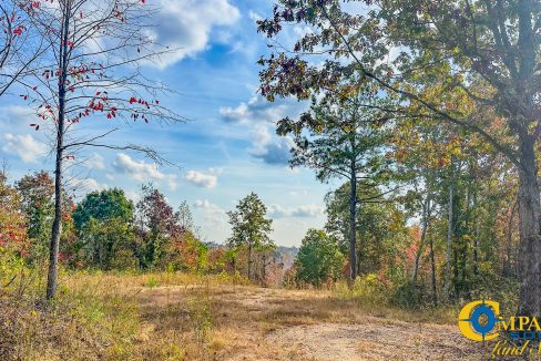 Pleasantville Southeast Tennessee Land for Sale-07