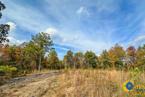 Pleasantville Southeast Tennessee Land for Sale-08