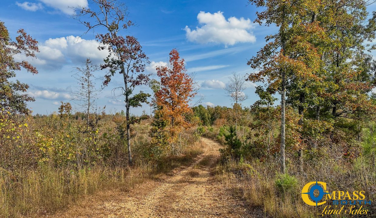 Pleasantville Southeast Tennessee Land for Sale-10