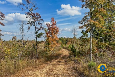 Pleasantville Southeast Tennessee Land for Sale-10