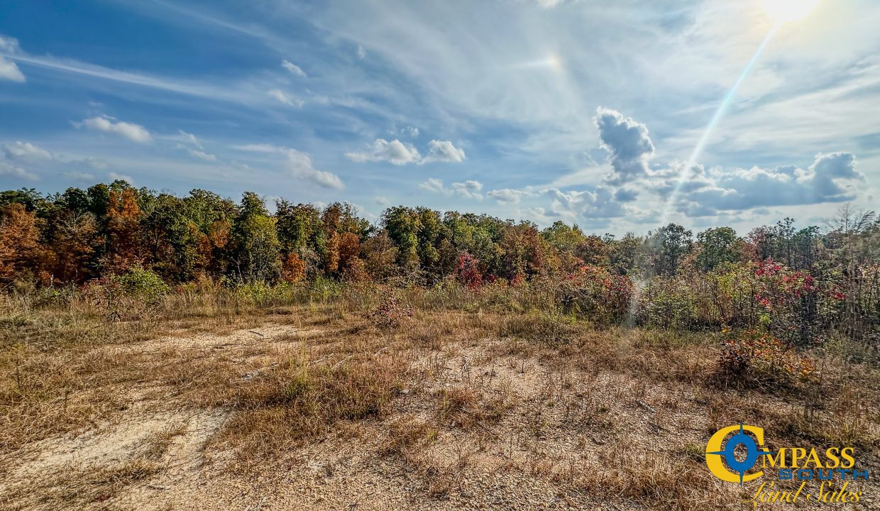 Pleasantville Southeast Tennessee Land for Sale-11