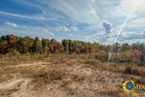 Pleasantville Southeast Tennessee Land for Sale-11