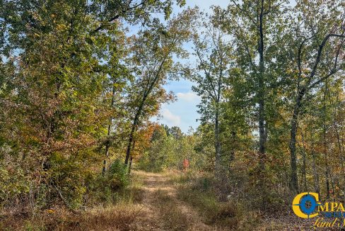 Pleasantville Southeast Tennessee Land for Sale-13