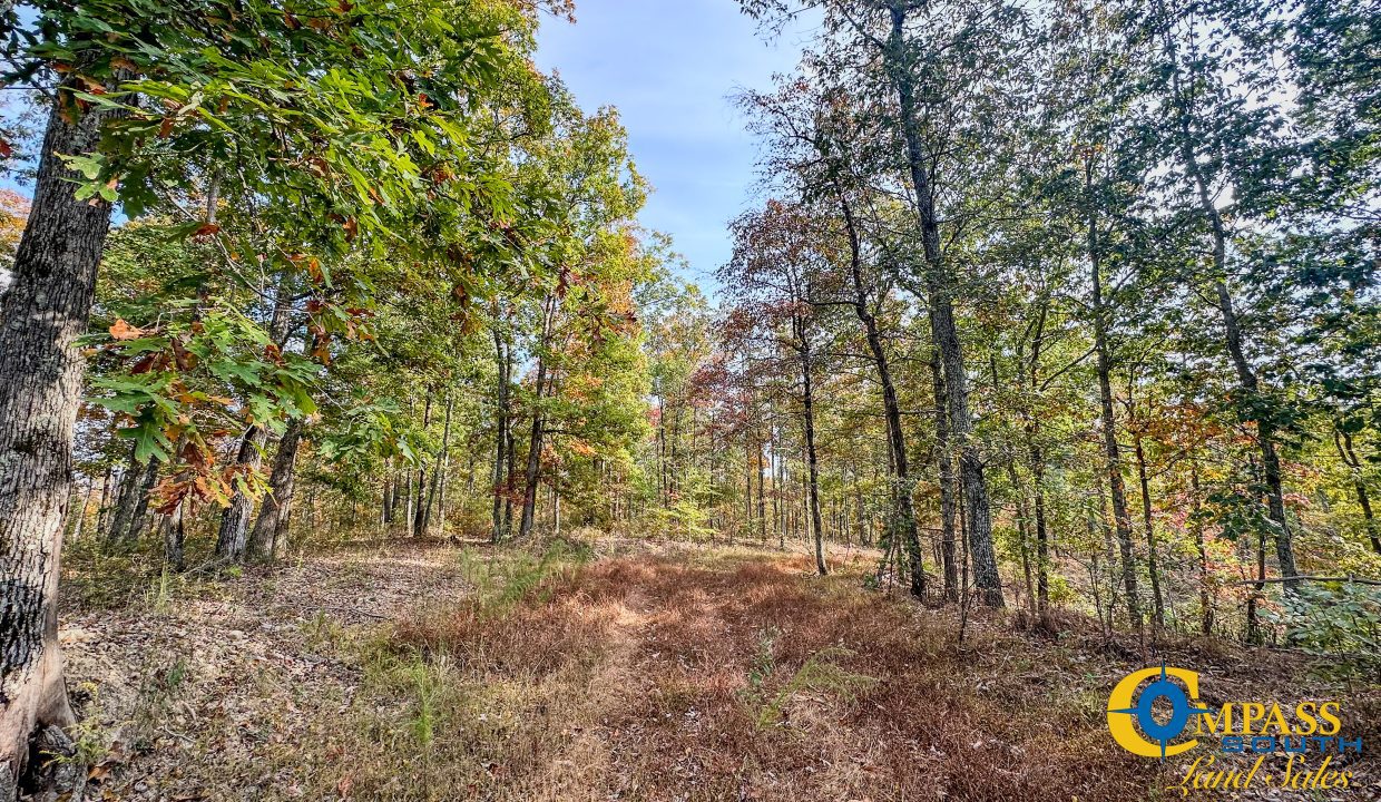 Pleasantville Southeast Tennessee Land for Sale-14