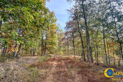 Pleasantville Southeast Tennessee Land for Sale-14