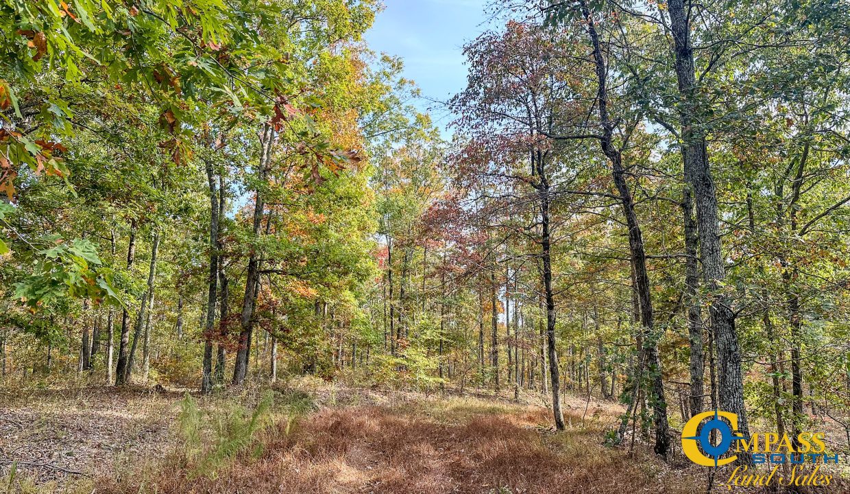 Pleasantville Southeast Tennessee Land for Sale-15