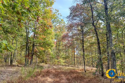 Pleasantville Southeast Tennessee Land for Sale-15