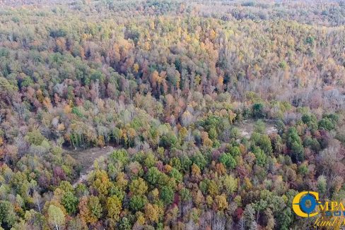 Pleasantville Southeast Tennessee Land for Sale-22