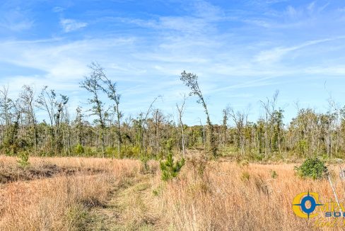 Saline River Retreat Arkansas-06