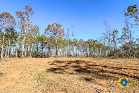 Shores Trail Estate Homesite Tennessee-04