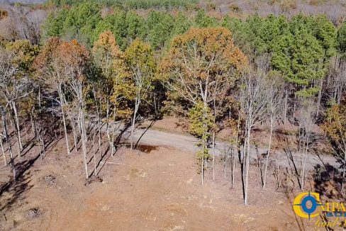 Shores Trail Estate Homesite Tennessee-21