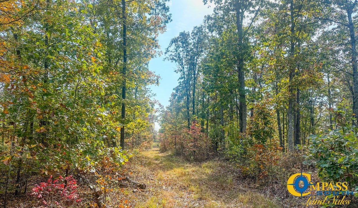 Terrell Branch Tennessee Land for Sale-26