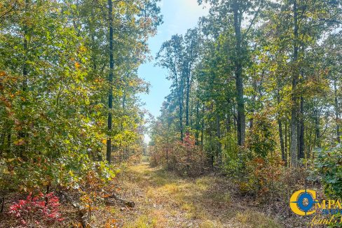 Terrell Branch Tennessee Land for Sale-26