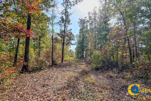 Terrell Branch Tennessee Land for Sale-27