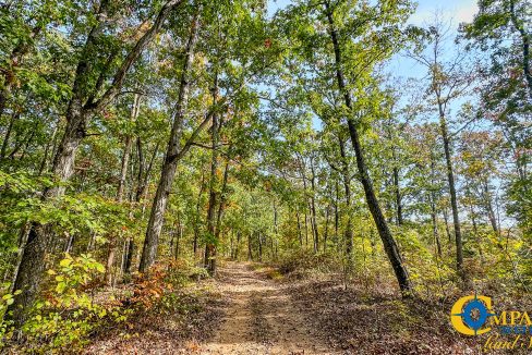 Terrell Branch Tennessee Land for Sale-29