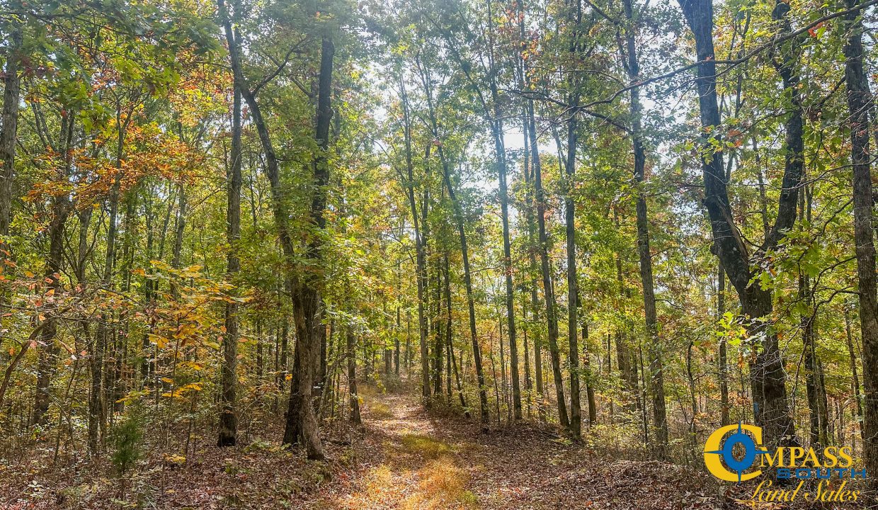 Terrell Branch Tennessee Land for Sale-30