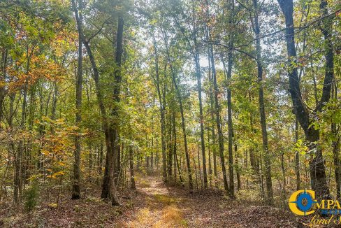 Terrell Branch Tennessee Land for Sale-30