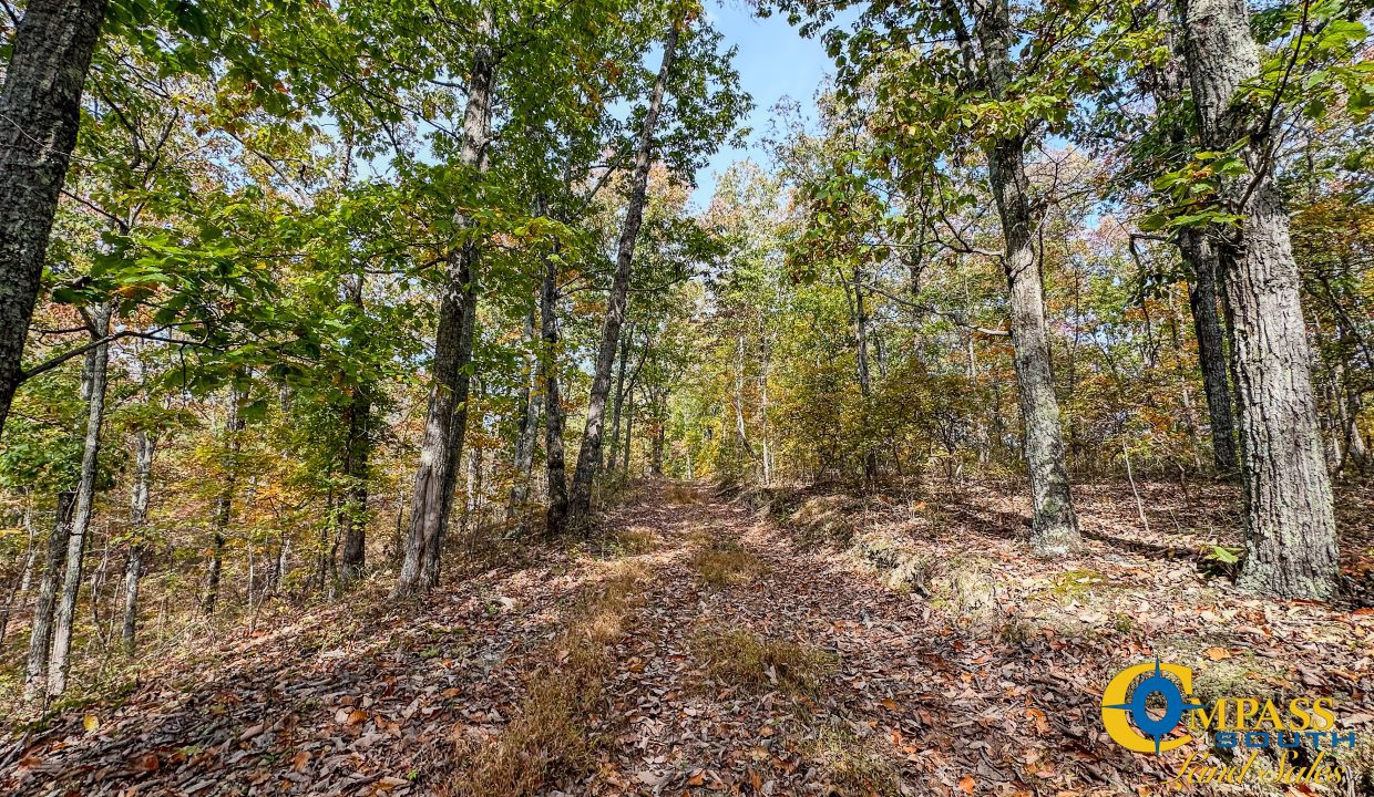 Terrell Branch Tennessee Land for Sale-31