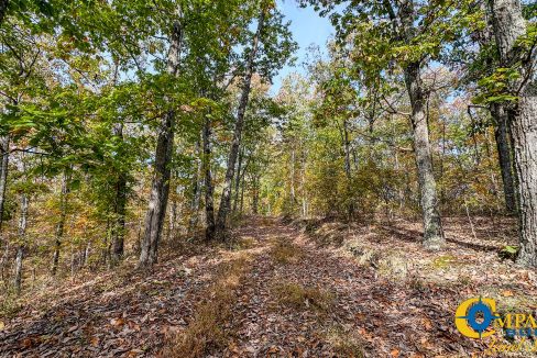 Terrell Branch Tennessee Land for Sale-31