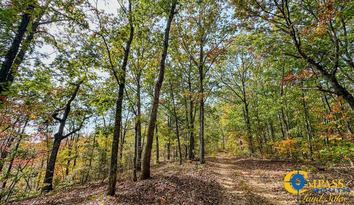 Terrell Branch Tennessee Land for Sale-32