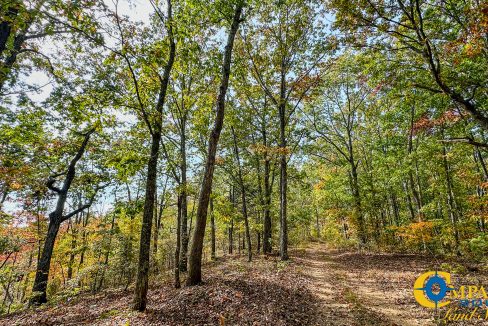 Terrell Branch Tennessee Land for Sale-32