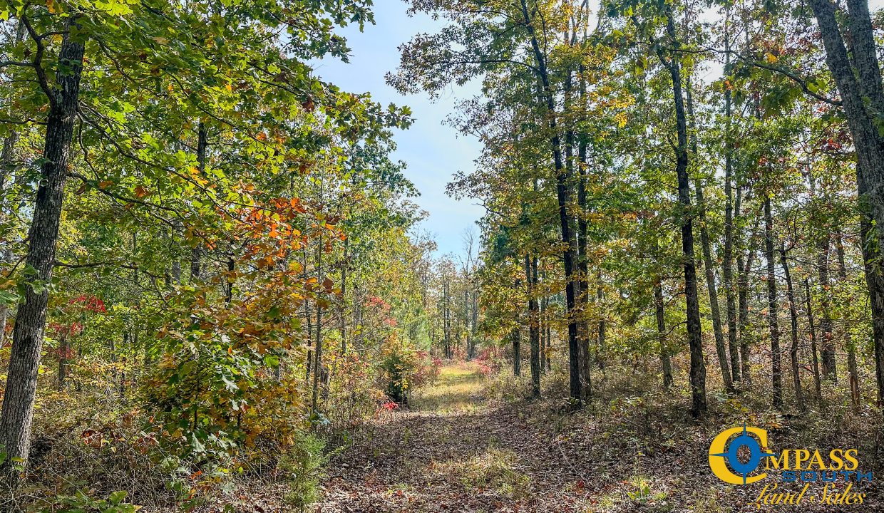 Terrell Branch Tennessee Land for Sale-35